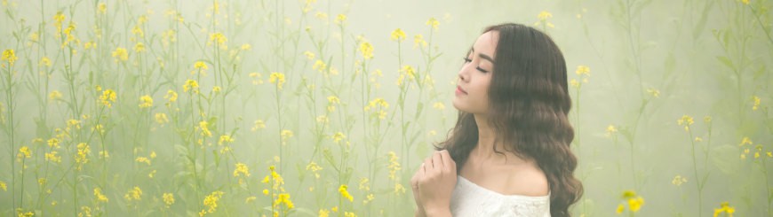 程序和蜘蛛池