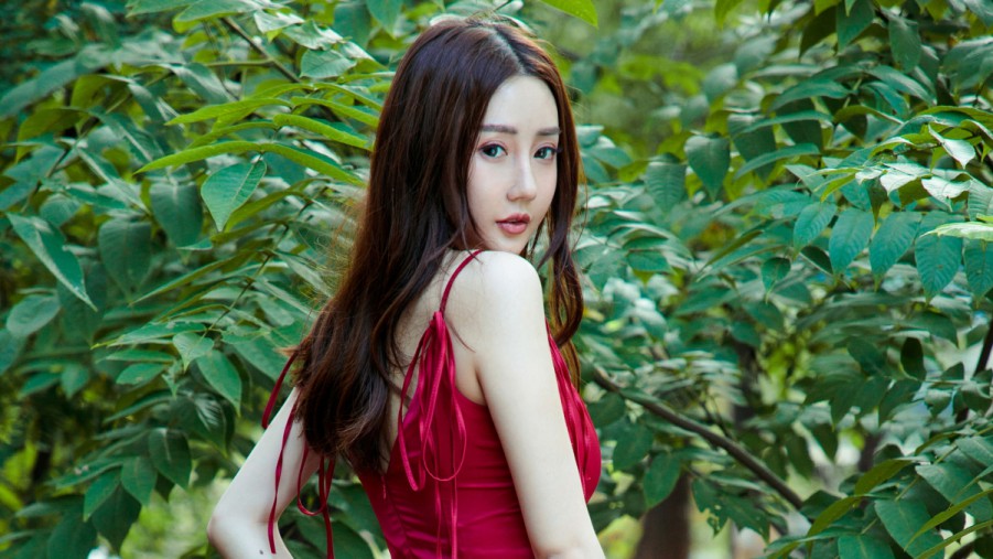 XCSEO沈阳SEO排名优化怎么做提升网站自然流量的有效策略