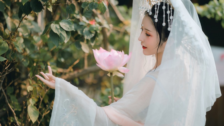 SEO优化排名图片：提升网站可见度的秘诀