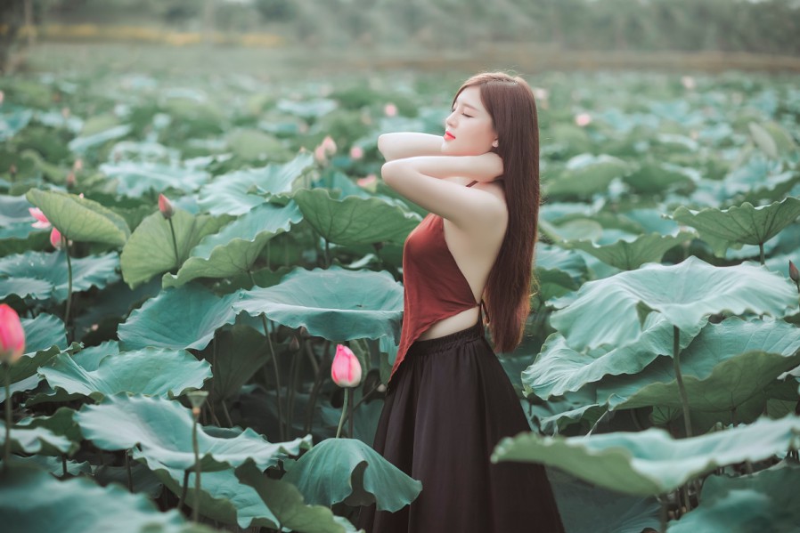 SEO排名优惠：让您的网站轻松上榜的秘诀