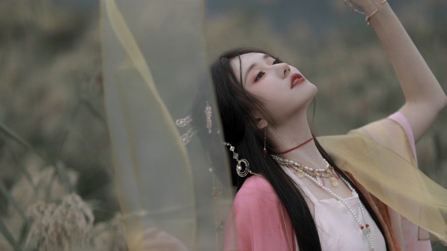 SEO是什么字？深入解析搜索引擎优化的全貌