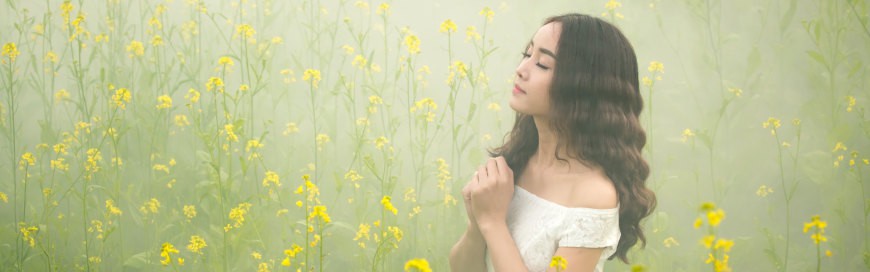 打造成功的网站SEO计划：提升网站流量和排名的全面指南